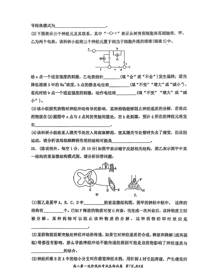 河南省许昌市禹州市第三高级中学菁华校区2025-2026学年高二上学期9月月考生物试题（图片版，含解析）_2025年10月高二试卷