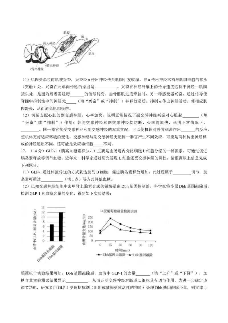 福建省龙岩市一级校盟2025-2026学年高二上学期期中联考试题生物Word版含答案_251221福建省龙岩市一级校盟2025-2026学年高二上学期期中联考试题（全）