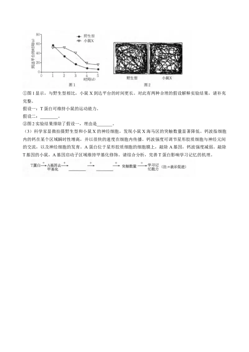 福建省龙岩市一级校盟2025-2026学年高二上学期期中联考试题生物Word版含答案_251221福建省龙岩市一级校盟2025-2026学年高二上学期期中联考试题（全）