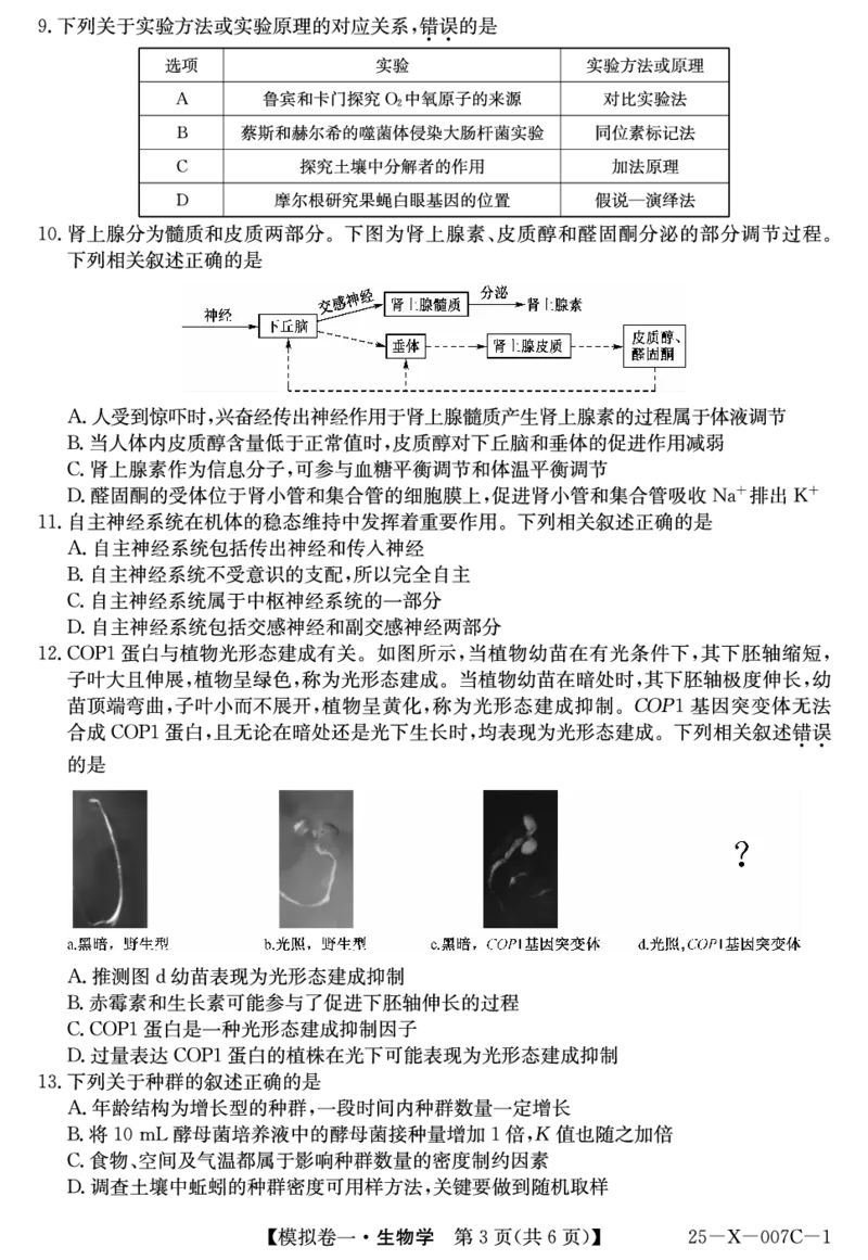 生物-河南省新高中创新联盟2025届高三模拟卷一（25-X-007C-1）_2024-2025高三（6-6月题库）_2025年02月试卷_0213河南省新高中创新联盟2025届高三模拟卷一（25-X-007C-1）