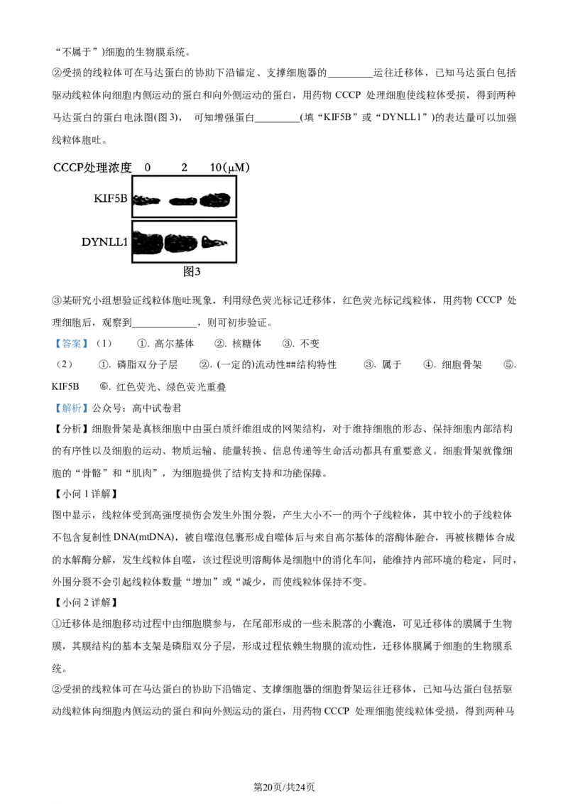 精品解析：辽宁省大连市2023-2024学年高二下学期期末考试生物学试题（解析版）_2024-2025高三（6-6月题库）_2024年07月试卷_240721辽宁省大连市2023_2024学年高二下学期期末考试