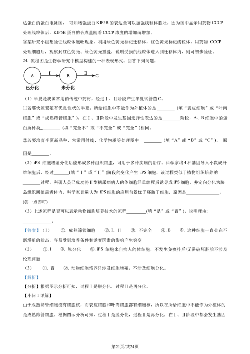 精品解析：辽宁省大连市2023-2024学年高二下学期期末考试生物学试题（解析版）_2024-2025高三（6-6月题库）_2024年07月试卷_240721辽宁省大连市2023_2024学年高二下学期期末考试