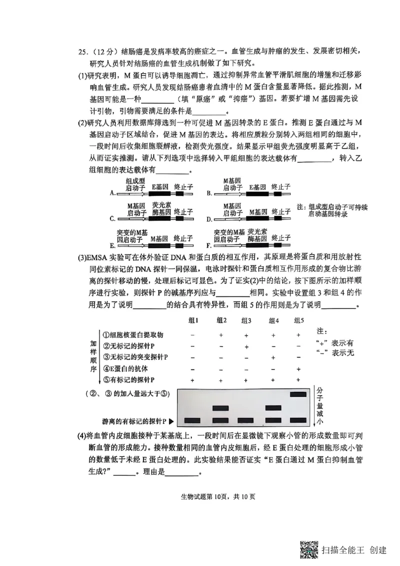 生物试题_2024-2025高三（6-6月题库）_2025年02月试卷_02142025届山东省实验中学高三下学期第四次诊断考试（全科）_2025届山东省实验中学高三下学期第四次诊断考试生物