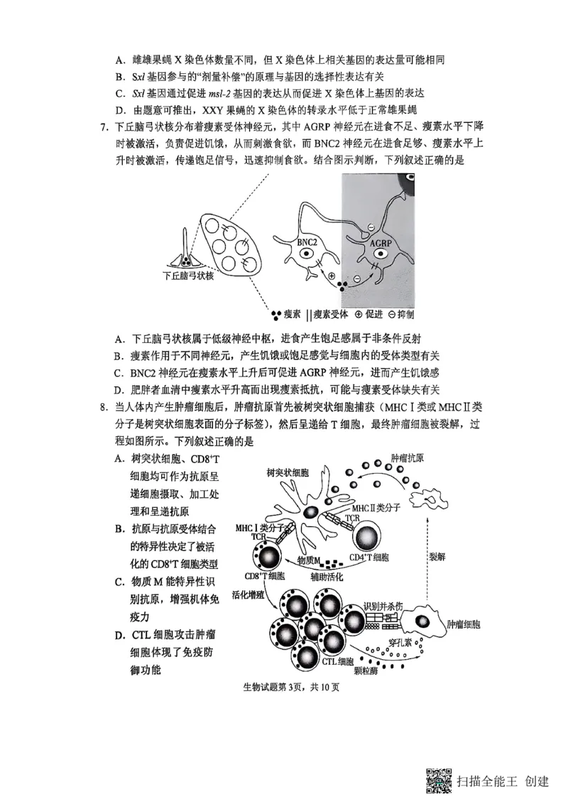 生物试题_2024-2025高三（6-6月题库）_2025年02月试卷_02142025届山东省实验中学高三下学期第四次诊断考试（全科）_2025届山东省实验中学高三下学期第四次诊断考试生物