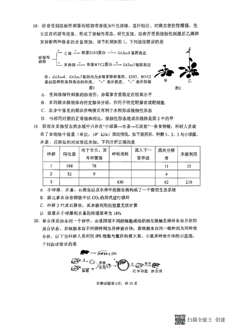 生物试题_2024-2025高三（6-6月题库）_2025年02月试卷_02142025届山东省实验中学高三下学期第四次诊断考试（全科）_2025届山东省实验中学高三下学期第四次诊断考试生物