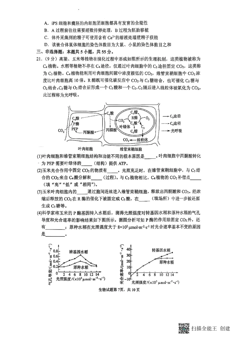生物试题_2024-2025高三（6-6月题库）_2025年02月试卷_02142025届山东省实验中学高三下学期第四次诊断考试（全科）_2025届山东省实验中学高三下学期第四次诊断考试生物