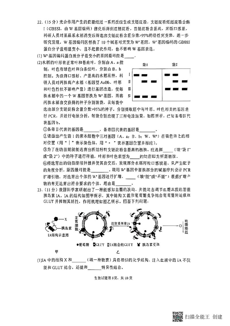 生物试题_2024-2025高三（6-6月题库）_2025年02月试卷_02142025届山东省实验中学高三下学期第四次诊断考试（全科）_2025届山东省实验中学高三下学期第四次诊断考试生物