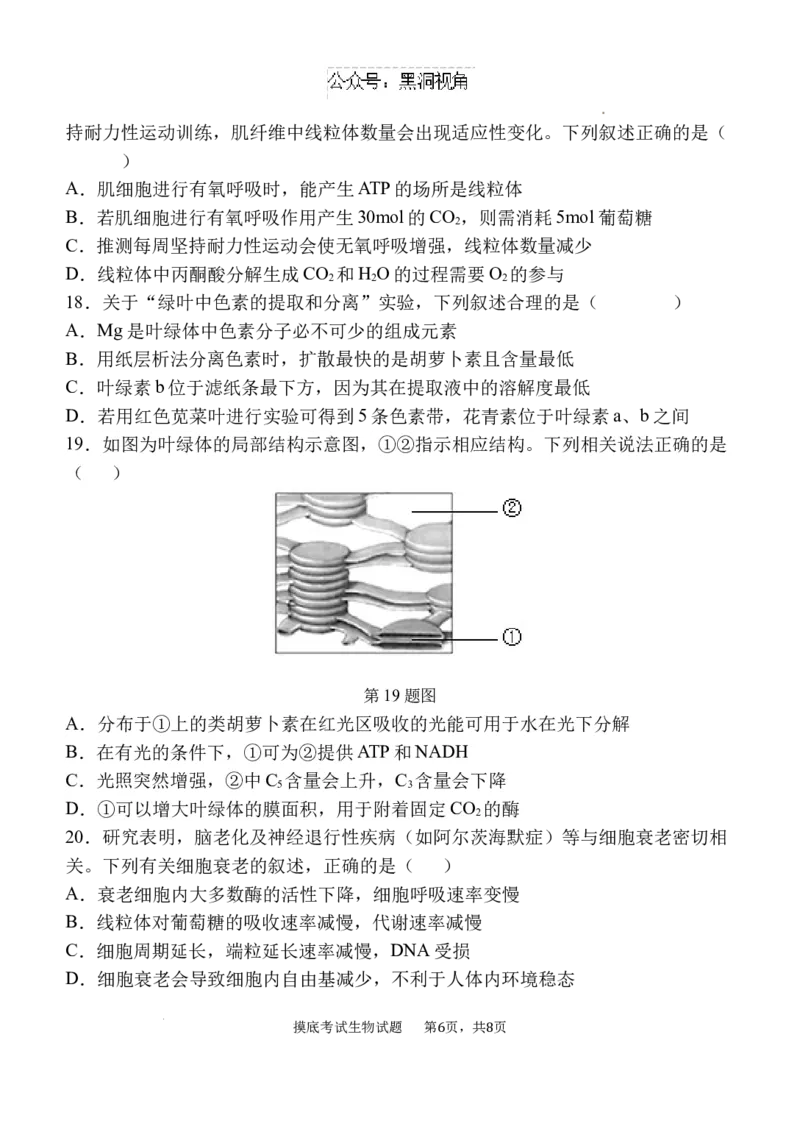 陕西省西安中学2024-2025学年高三上学期开学摸底考试生物试题+答案_2024-2025高三（6-6月题库）_2024年09月试卷_0905陕西省西安中学2024-2025学年高三上学期开学摸底考试