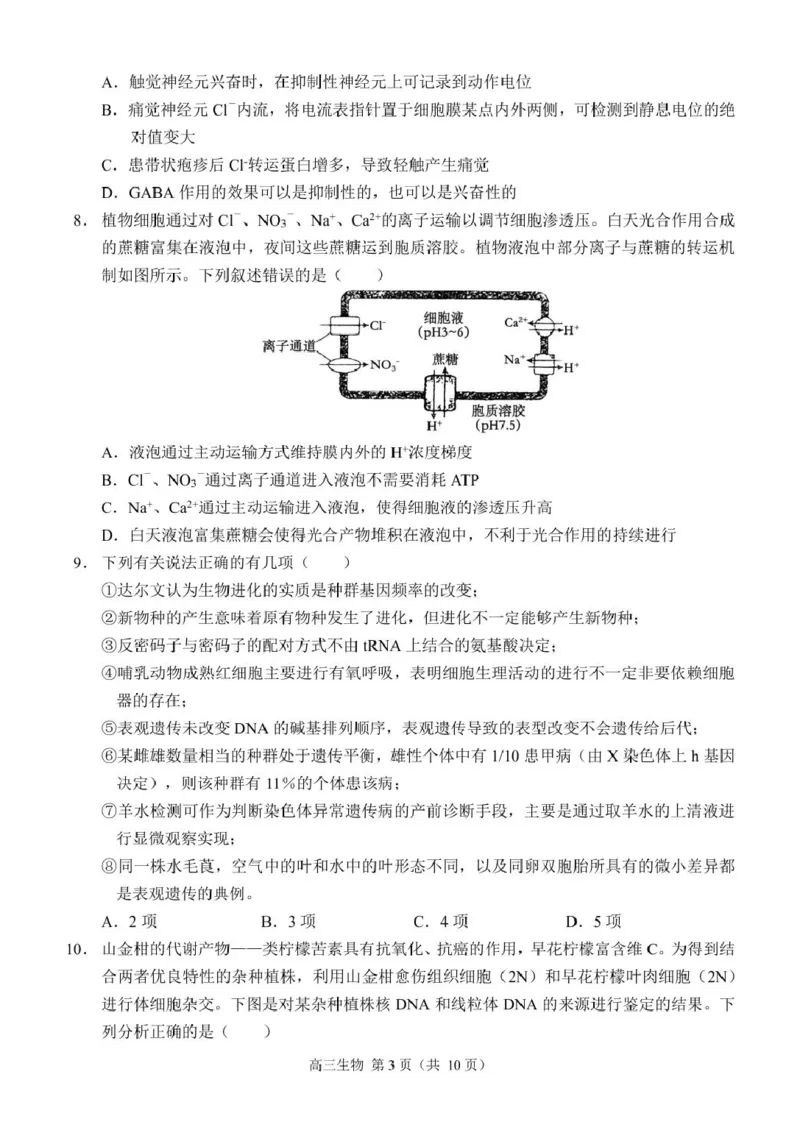 生物（定稿）_2024-2025高三（6-6月题库）_2024年12月试卷_1204重庆市西南大学附属中学校2024-2025学年高三上学期11月阶段性检测（二）