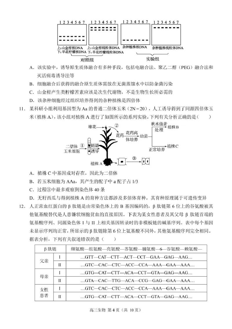 生物（定稿）_2024-2025高三（6-6月题库）_2024年12月试卷_1204重庆市西南大学附属中学校2024-2025学年高三上学期11月阶段性检测（二）