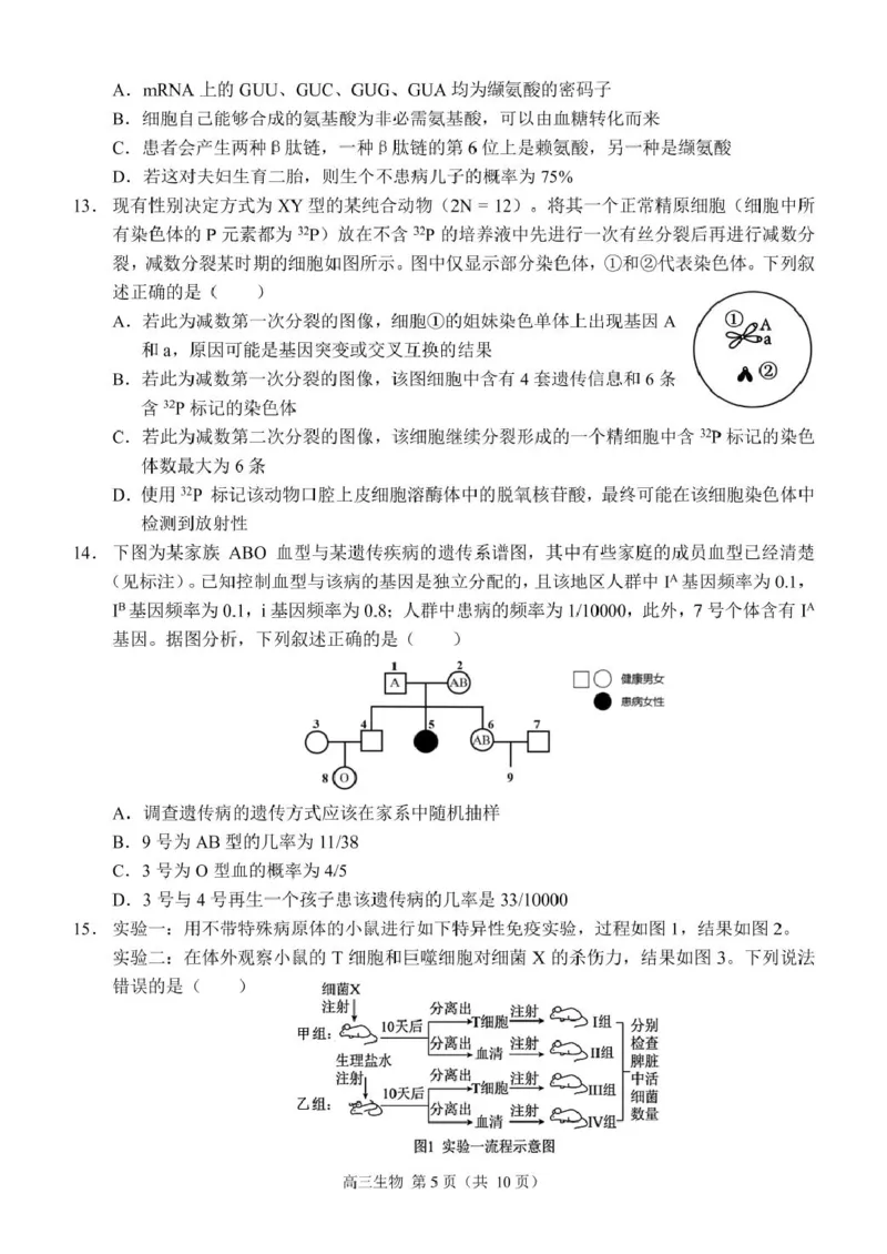 生物（定稿）_2024-2025高三（6-6月题库）_2024年12月试卷_1204重庆市西南大学附属中学校2024-2025学年高三上学期11月阶段性检测（二）