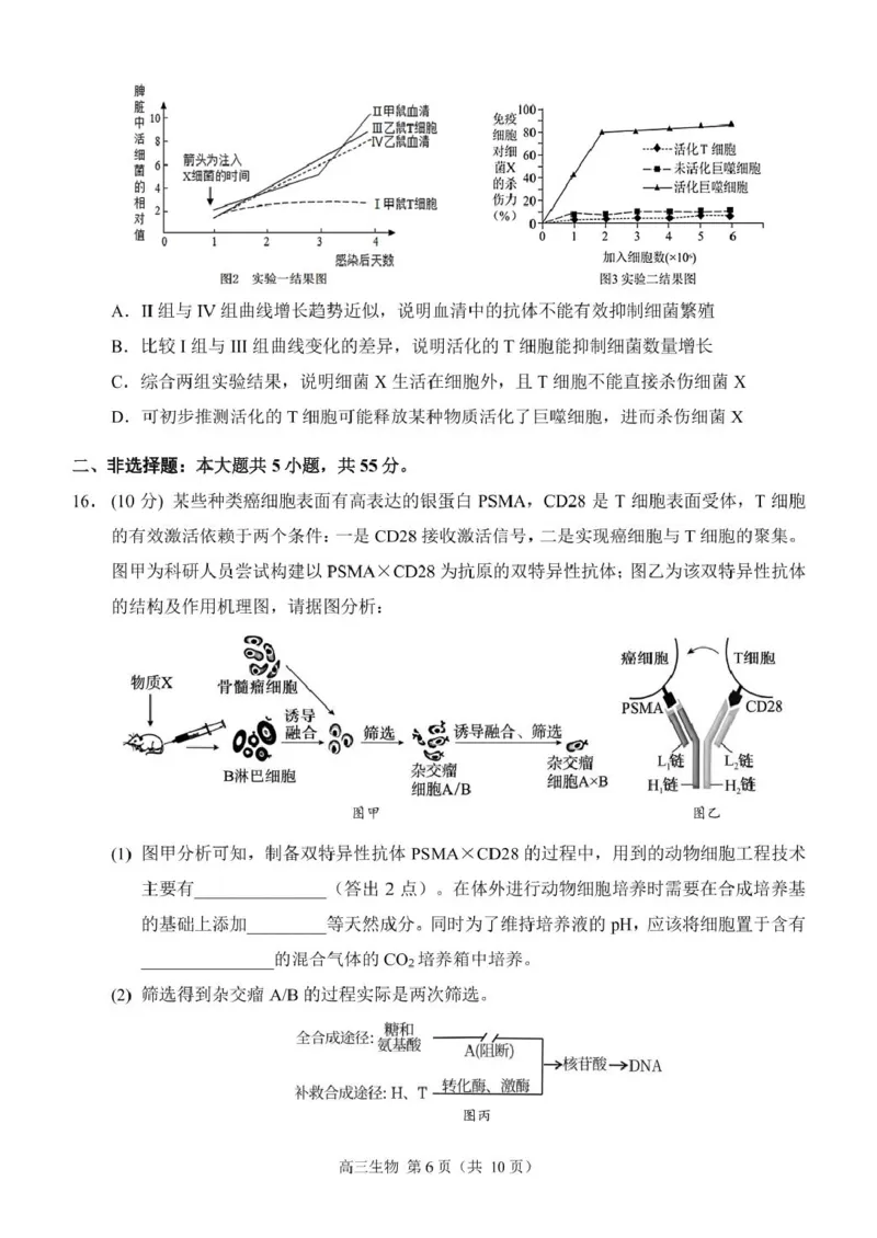 生物（定稿）_2024-2025高三（6-6月题库）_2024年12月试卷_1204重庆市西南大学附属中学校2024-2025学年高三上学期11月阶段性检测（二）