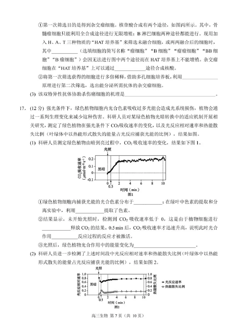 生物（定稿）_2024-2025高三（6-6月题库）_2024年12月试卷_1204重庆市西南大学附属中学校2024-2025学年高三上学期11月阶段性检测（二）