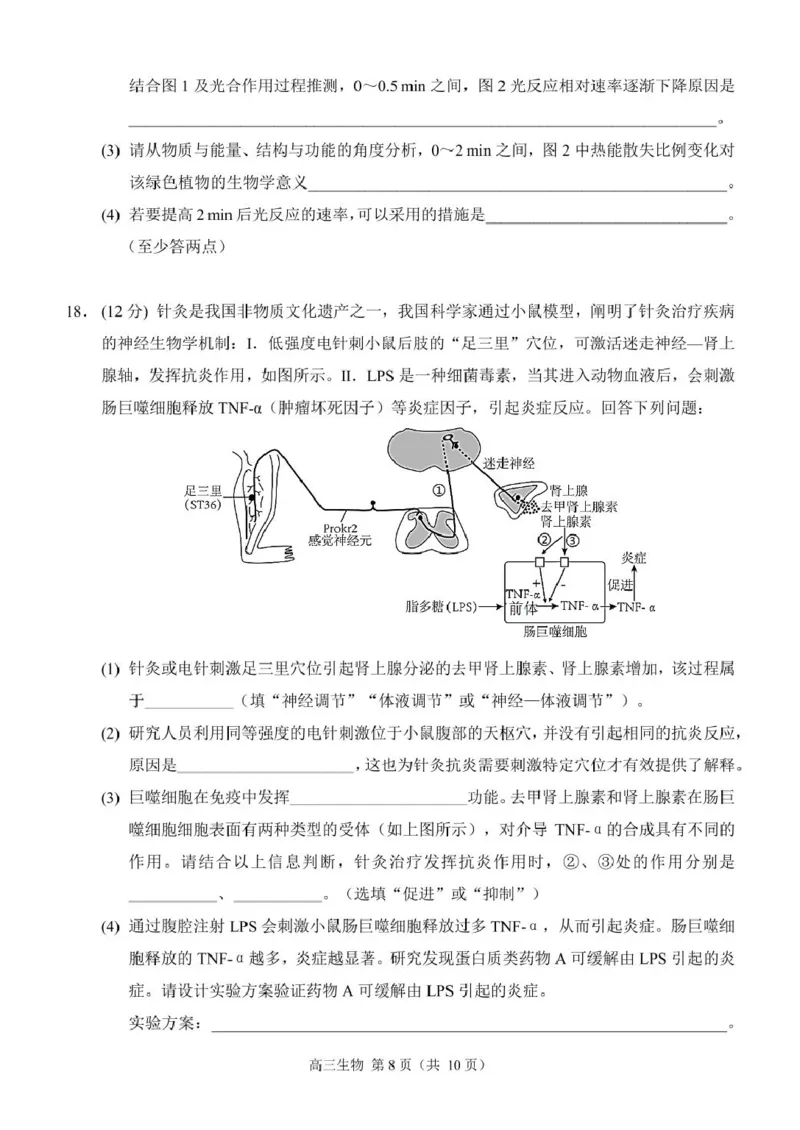 生物（定稿）_2024-2025高三（6-6月题库）_2024年12月试卷_1204重庆市西南大学附属中学校2024-2025学年高三上学期11月阶段性检测（二）