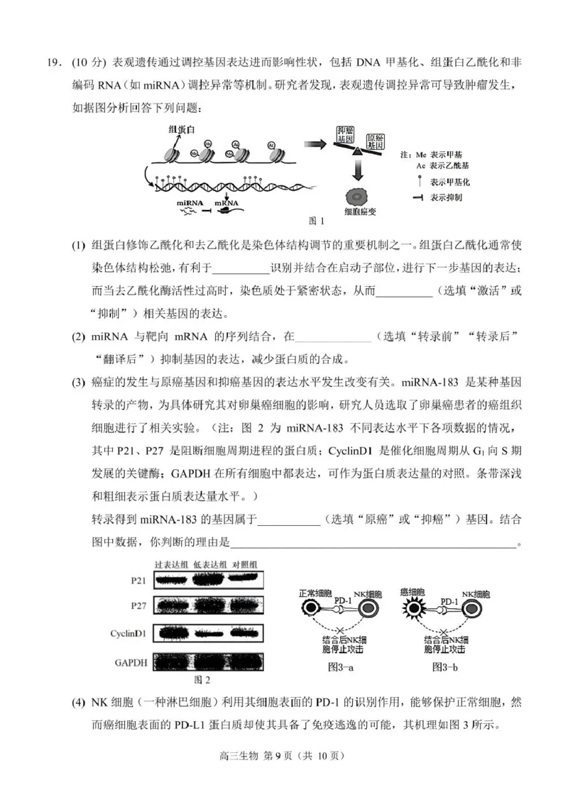 生物（定稿）_2024-2025高三（6-6月题库）_2024年12月试卷_1204重庆市西南大学附属中学校2024-2025学年高三上学期11月阶段性检测（二）