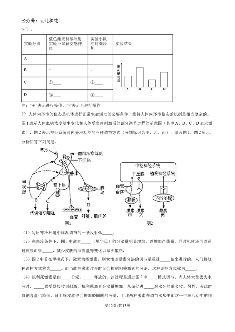 陕西省咸阳市秦都区咸阳市实验中学2024-2025学年高二上学期10月第一次月考生物试题（原卷）_2024-2025高二（7-7月题库）_2024年10月试卷