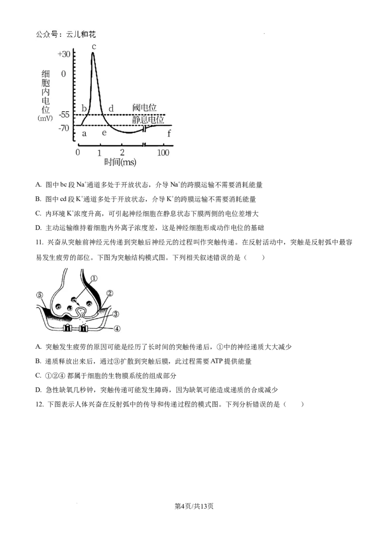 陕西省咸阳市秦都区咸阳市实验中学2024-2025学年高二上学期10月第一次月考生物试题（原卷）_2024-2025高二（7-7月题库）_2024年10月试卷