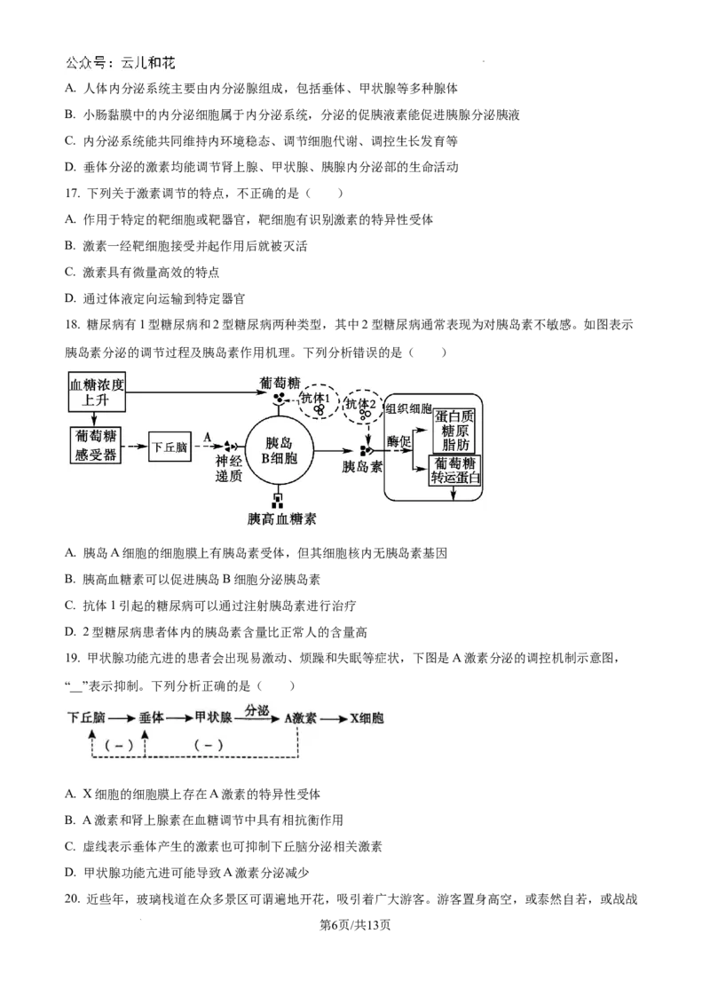 陕西省咸阳市秦都区咸阳市实验中学2024-2025学年高二上学期10月第一次月考生物试题（原卷）_2024-2025高二（7-7月题库）_2024年10月试卷