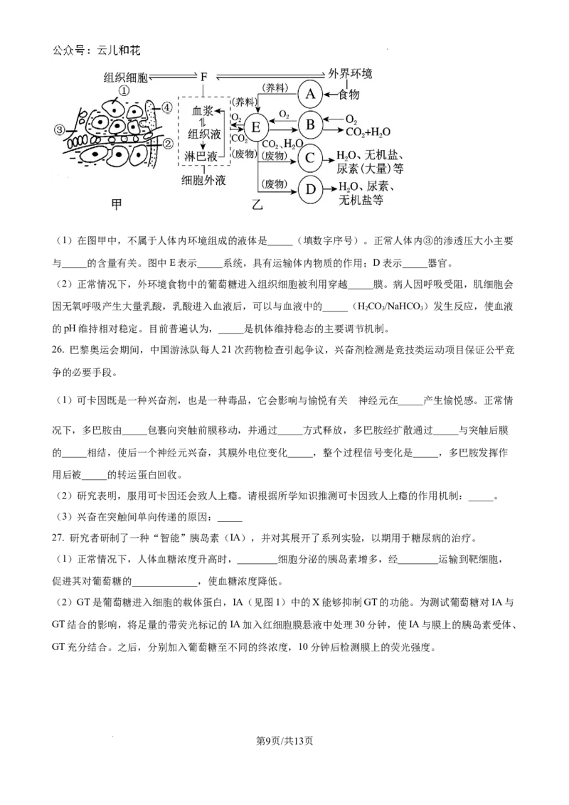 陕西省咸阳市秦都区咸阳市实验中学2024-2025学年高二上学期10月第一次月考生物试题（原卷）_2024-2025高二（7-7月题库）_2024年10月试卷