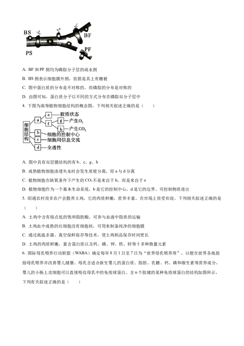 湖南省沅澧共同体2024-2025学年高三上学期第二次联考生物试题Word版无答案_2024-2025高三（6-6月题库）_2024年11月试卷_1112湖南省沅澧共同体2024-2025学年高三上学期第二次联考
