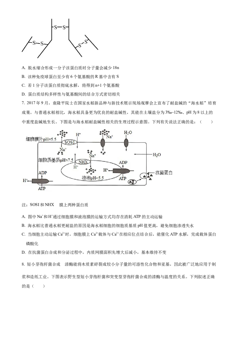 湖南省沅澧共同体2024-2025学年高三上学期第二次联考生物试题Word版无答案_2024-2025高三（6-6月题库）_2024年11月试卷_1112湖南省沅澧共同体2024-2025学年高三上学期第二次联考