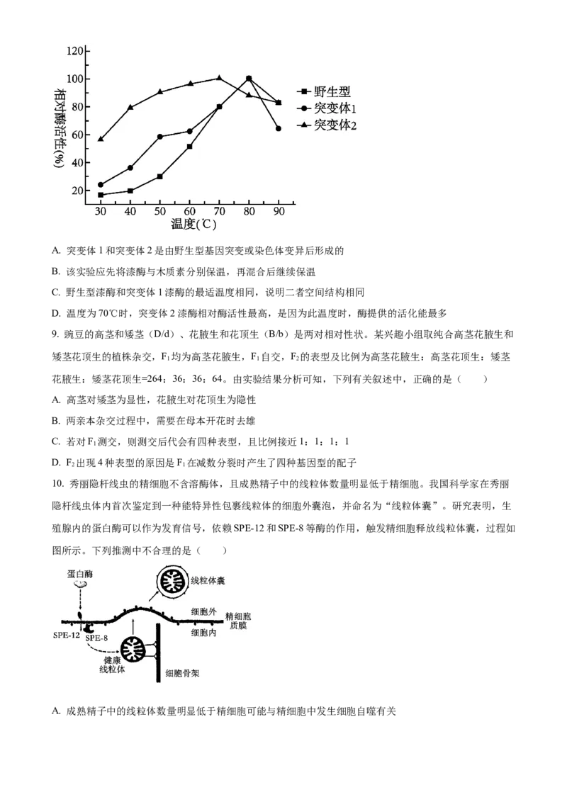 湖南省沅澧共同体2024-2025学年高三上学期第二次联考生物试题Word版无答案_2024-2025高三（6-6月题库）_2024年11月试卷_1112湖南省沅澧共同体2024-2025学年高三上学期第二次联考