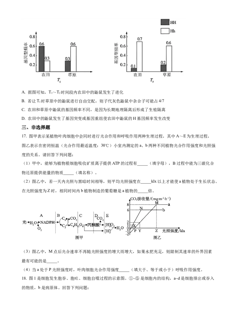湖南省沅澧共同体2024-2025学年高三上学期第二次联考生物试题Word版无答案_2024-2025高三（6-6月题库）_2024年11月试卷_1112湖南省沅澧共同体2024-2025学年高三上学期第二次联考
