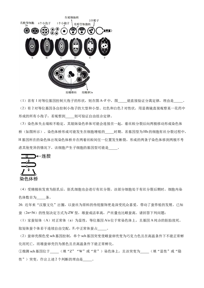 湖南省沅澧共同体2024-2025学年高三上学期第二次联考生物试题Word版无答案_2024-2025高三（6-6月题库）_2024年11月试卷_1112湖南省沅澧共同体2024-2025学年高三上学期第二次联考
