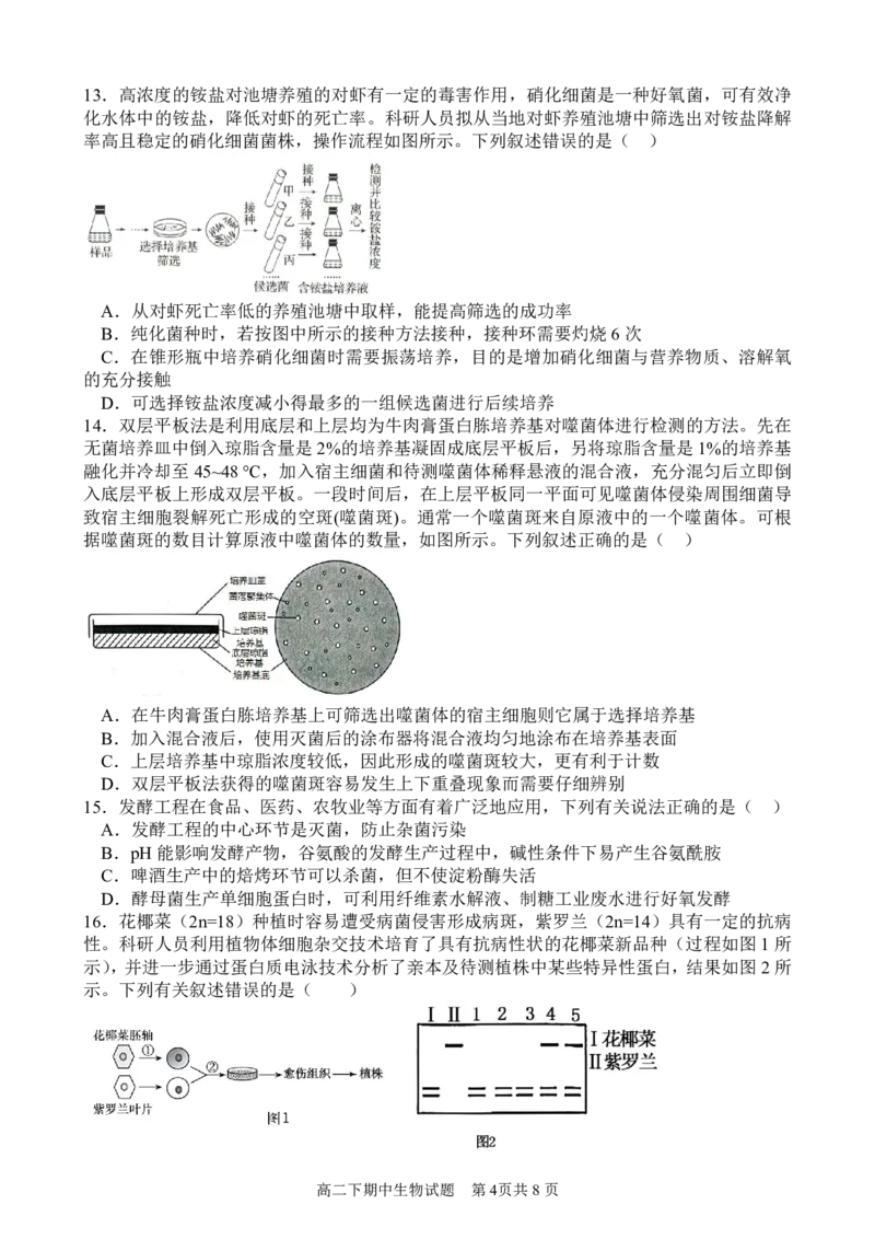 高二下期期中试题&mdash;&mdash;生物_2024-2025高二（7-7月题库）_2025年05月试卷_0501重庆市万州二中2024-2025学年高二下学期期中考试