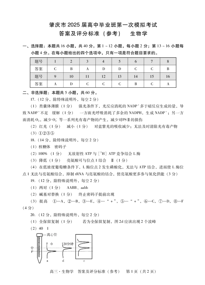肇庆2025届高三一模&middot;生物学答案_2024-2025高三（6-6月题库）_2024年11月试卷_1110广东省肇庆市2025届高中毕业班第一次模拟考试