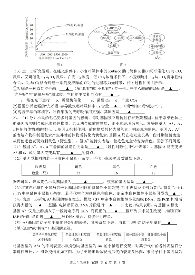 生物试卷_2024-2025高二（7-7月题库）_2025年6月试卷_0606浙江省北斗星盟2024-2025学年高二下学期阶段性联考_浙江省北斗星盟2024-2025学年高二下学期阶段性联考生物试卷（PDF版，含答案）
