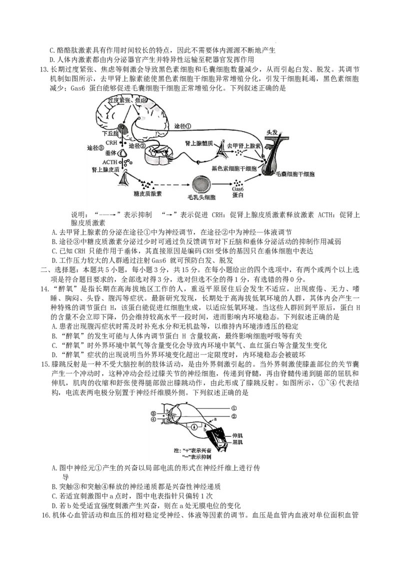 高二生物学_2025年10月高二试卷_251024河北省保定市八校2025-2026学年高二上学期10月月考（全）_河北省保定市八校联考2025-2026学年高二上学期10月月考生物试题含答案
