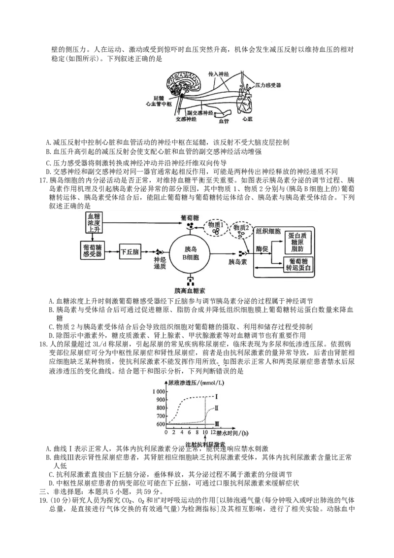 高二生物学_2025年10月高二试卷_251024河北省保定市八校2025-2026学年高二上学期10月月考（全）_河北省保定市八校联考2025-2026学年高二上学期10月月考生物试题含答案