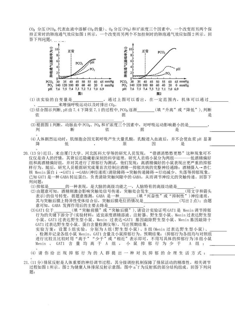 高二生物学_2025年10月高二试卷_251024河北省保定市八校2025-2026学年高二上学期10月月考（全）_河北省保定市八校联考2025-2026学年高二上学期10月月考生物试题含答案