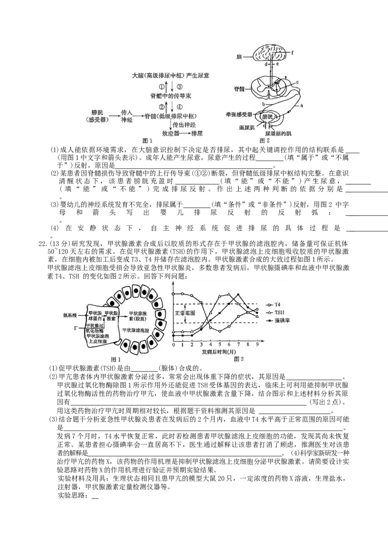 高二生物学_2025年10月高二试卷_251024河北省保定市八校2025-2026学年高二上学期10月月考（全）_河北省保定市八校联考2025-2026学年高二上学期10月月考生物试题含答案