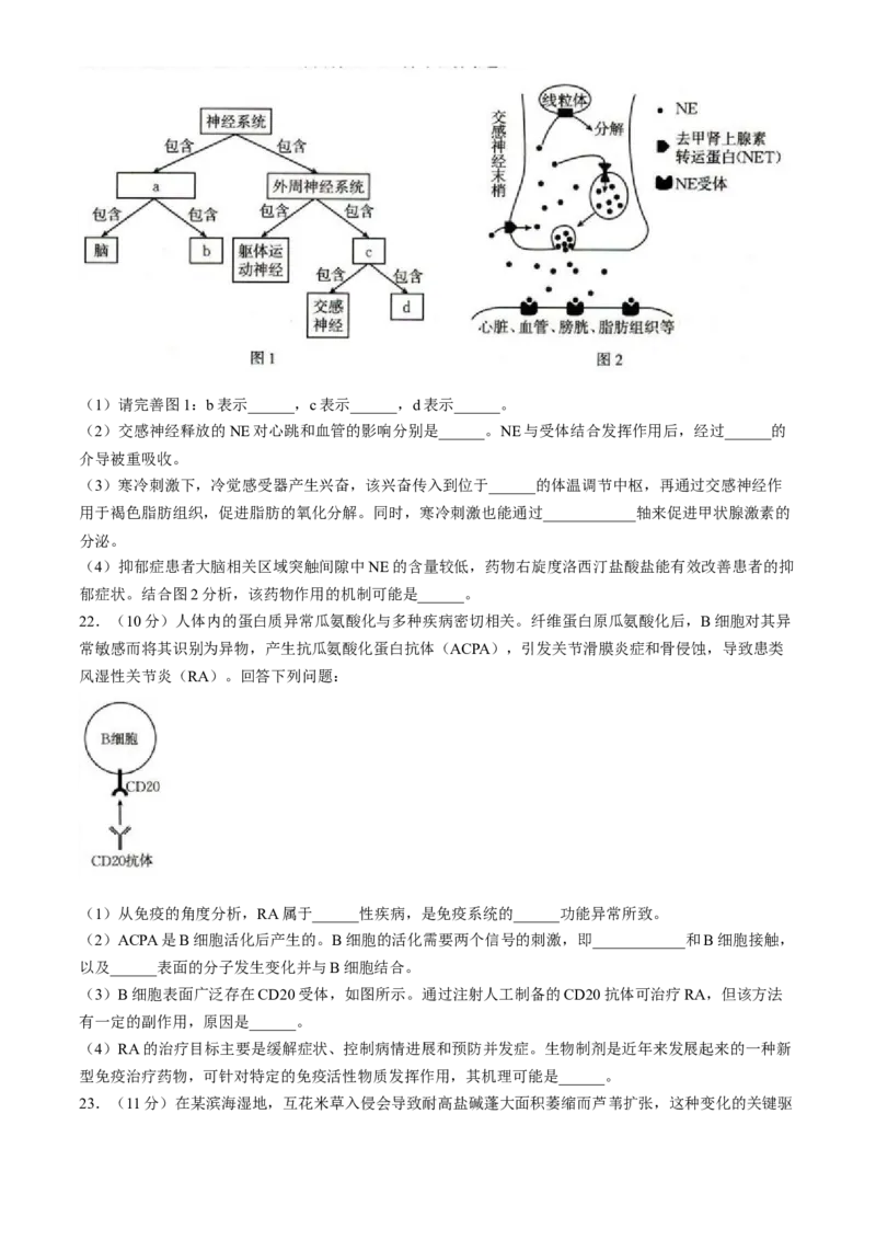 辽宁省抚顺市六校协作体2024-2025学年高二下学期期初检测生物学试卷（含答案）_2024-2025高二（7-7月题库）_2025年03月试卷_0309辽宁省抚顺市六校协作体2024-2025学年高二下学期期初检测