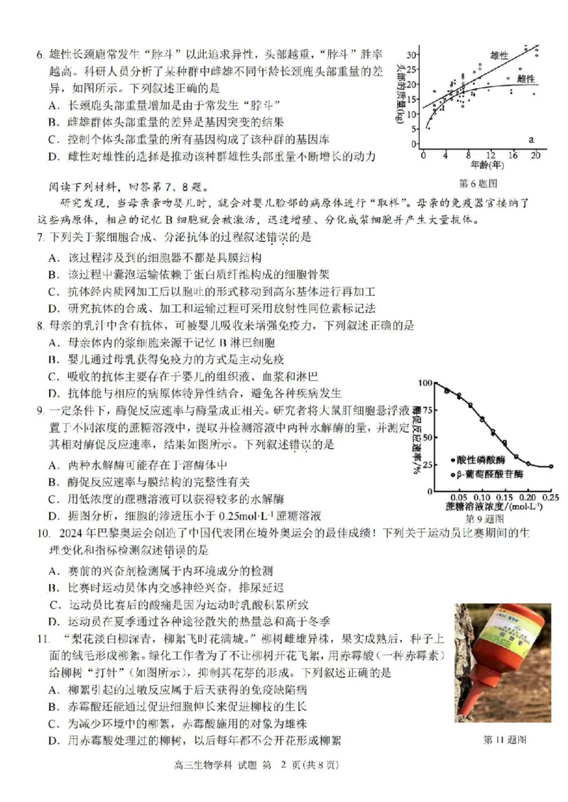 生物卷-2410高三浙南名校联盟_2024-2025高三（6-6月题库）_2024年10月试卷_10102025届浙南名校联盟高三10月联考