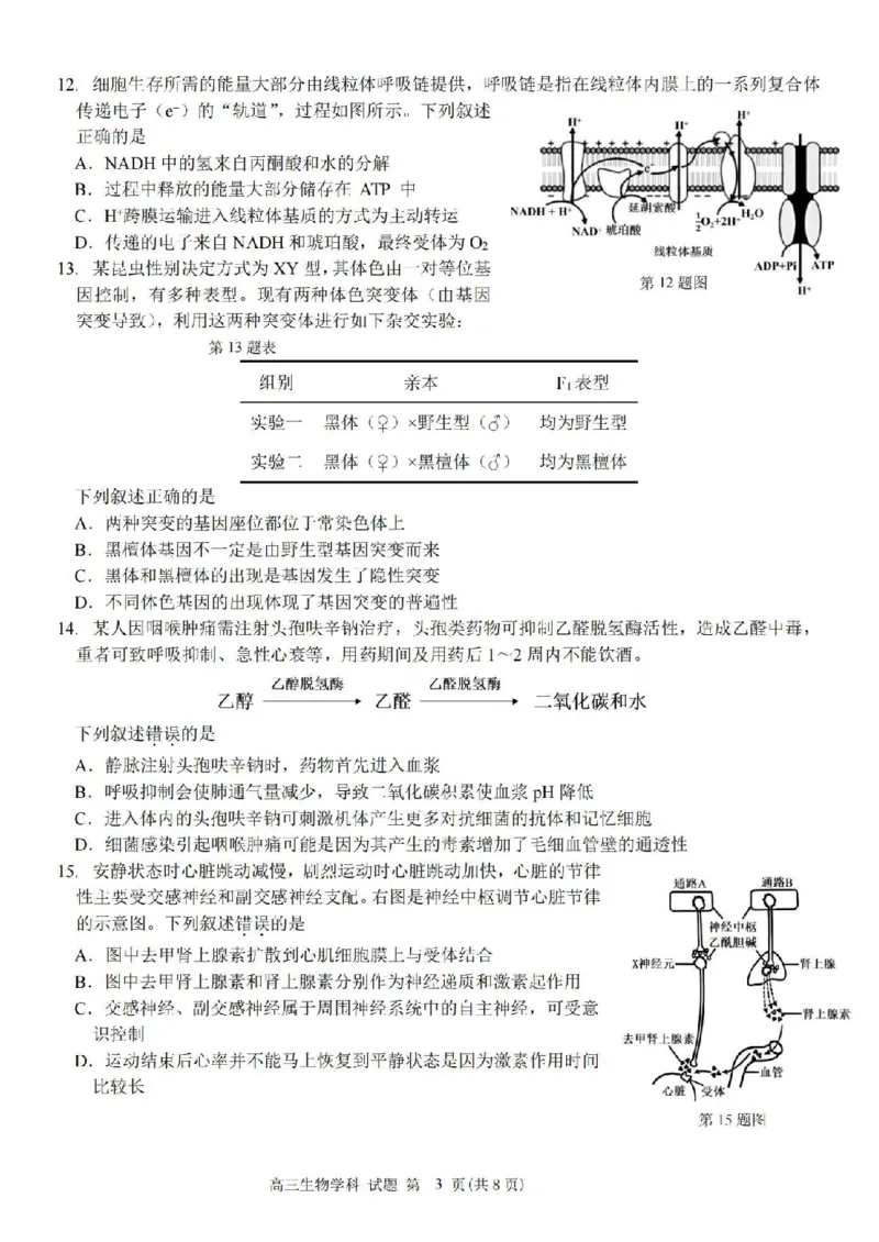 生物卷-2410高三浙南名校联盟_2024-2025高三（6-6月题库）_2024年10月试卷_10102025届浙南名校联盟高三10月联考