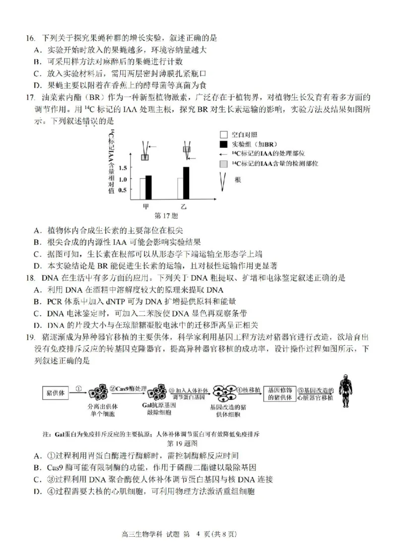 生物卷-2410高三浙南名校联盟_2024-2025高三（6-6月题库）_2024年10月试卷_10102025届浙南名校联盟高三10月联考