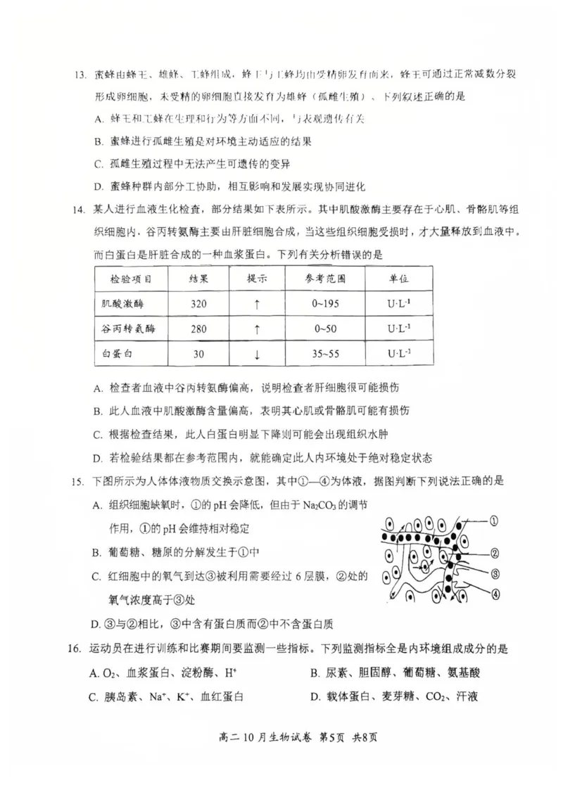 湖北省云学联盟2025-2026学年高二上学期10月月考生物试题含答案_2025年10月高二试卷_251013湖北省云学联盟2025-2026学年高二上学期10月月考