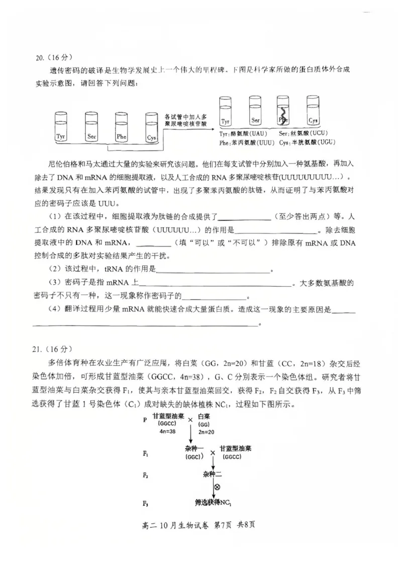 湖北省云学联盟2025-2026学年高二上学期10月月考生物试题含答案_2025年10月高二试卷_251013湖北省云学联盟2025-2026学年高二上学期10月月考