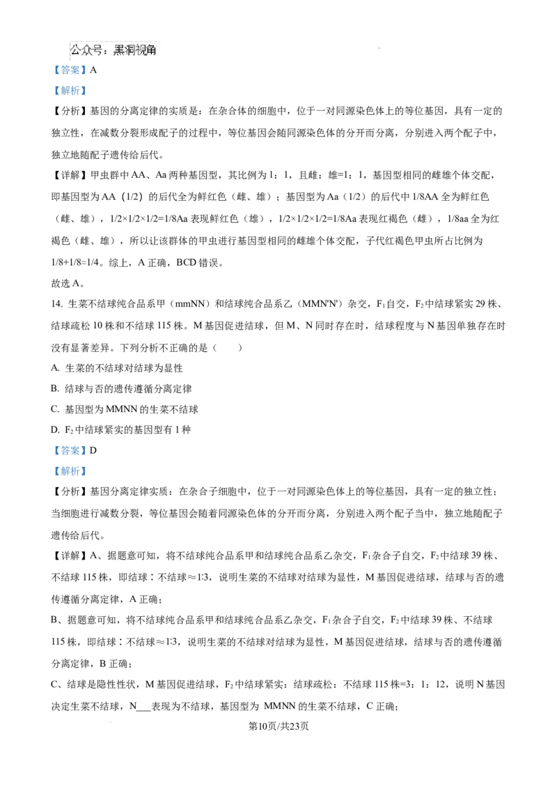 黑龙江省绥化市绥棱县第一中学2024-2025学年高三上学期10月月考生物试题答案_2024-2025高三（6-6月题库）_2024年10月试卷_1024黑龙江省绥化市绥棱县第一中学2024-2025学年高三上学期10月月考