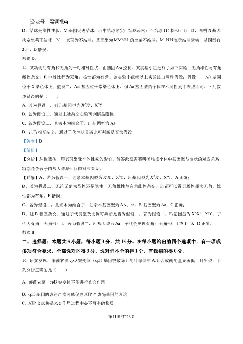 黑龙江省绥化市绥棱县第一中学2024-2025学年高三上学期10月月考生物试题答案_2024-2025高三（6-6月题库）_2024年10月试卷_1024黑龙江省绥化市绥棱县第一中学2024-2025学年高三上学期10月月考