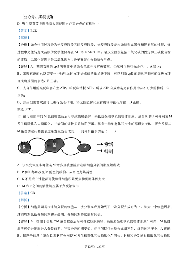 黑龙江省绥化市绥棱县第一中学2024-2025学年高三上学期10月月考生物试题答案_2024-2025高三（6-6月题库）_2024年10月试卷_1024黑龙江省绥化市绥棱县第一中学2024-2025学年高三上学期10月月考