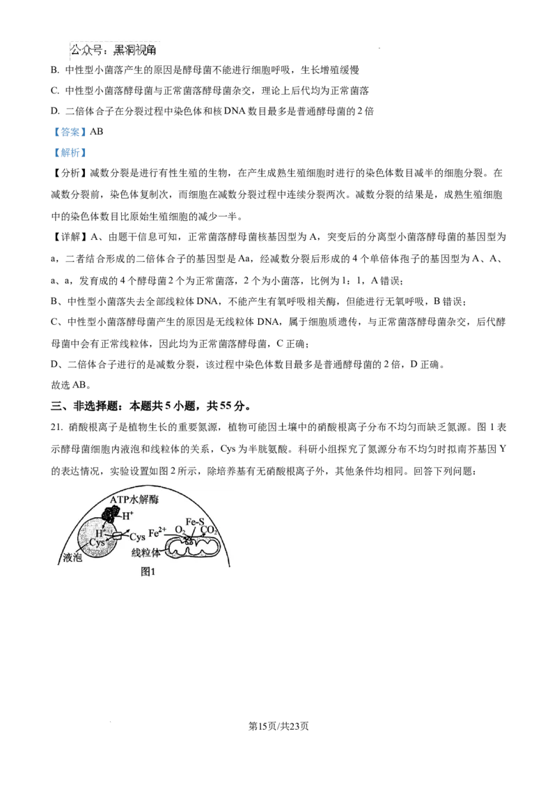 黑龙江省绥化市绥棱县第一中学2024-2025学年高三上学期10月月考生物试题答案_2024-2025高三（6-6月题库）_2024年10月试卷_1024黑龙江省绥化市绥棱县第一中学2024-2025学年高三上学期10月月考