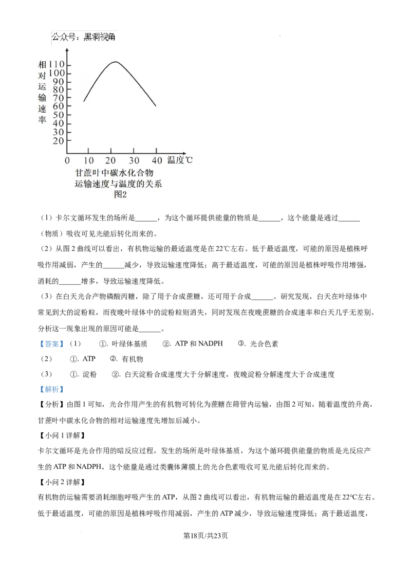黑龙江省绥化市绥棱县第一中学2024-2025学年高三上学期10月月考生物试题答案_2024-2025高三（6-6月题库）_2024年10月试卷_1024黑龙江省绥化市绥棱县第一中学2024-2025学年高三上学期10月月考