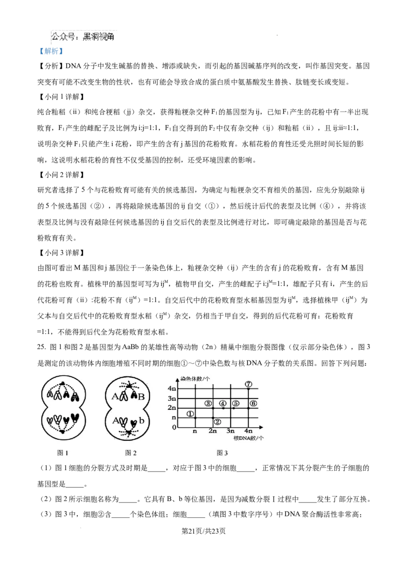 黑龙江省绥化市绥棱县第一中学2024-2025学年高三上学期10月月考生物试题答案_2024-2025高三（6-6月题库）_2024年10月试卷_1024黑龙江省绥化市绥棱县第一中学2024-2025学年高三上学期10月月考