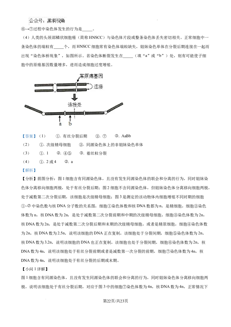 黑龙江省绥化市绥棱县第一中学2024-2025学年高三上学期10月月考生物试题答案_2024-2025高三（6-6月题库）_2024年10月试卷_1024黑龙江省绥化市绥棱县第一中学2024-2025学年高三上学期10月月考