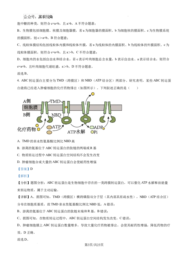 黑龙江省绥化市绥棱县第一中学2024-2025学年高三上学期10月月考生物试题答案_2024-2025高三（6-6月题库）_2024年10月试卷_1024黑龙江省绥化市绥棱县第一中学2024-2025学年高三上学期10月月考