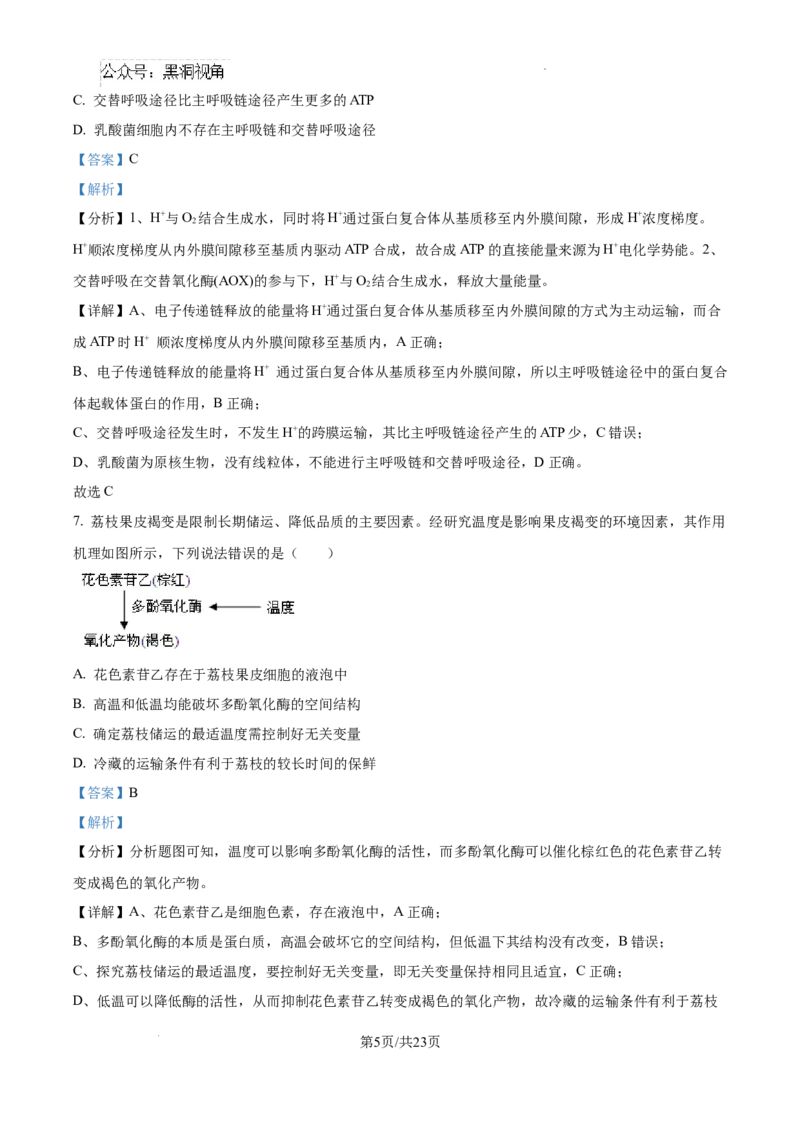 黑龙江省绥化市绥棱县第一中学2024-2025学年高三上学期10月月考生物试题答案_2024-2025高三（6-6月题库）_2024年10月试卷_1024黑龙江省绥化市绥棱县第一中学2024-2025学年高三上学期10月月考